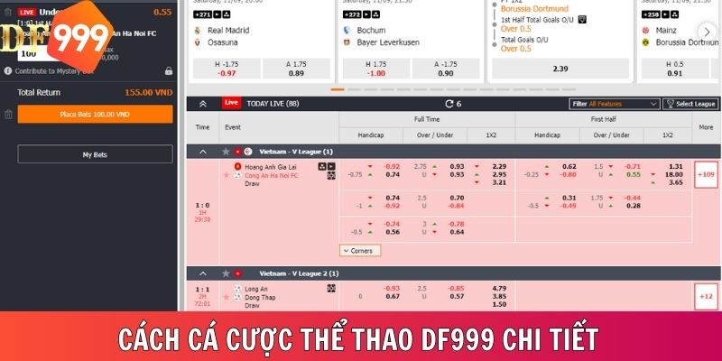 Cách cá cược thể thao DF999 chi tiết cho người mới