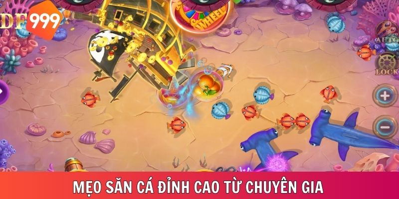 Mẹo săn cá đỉnh cao được chuyên gia tiết lộ